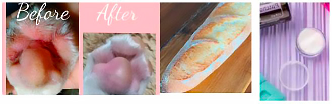 愛犬のぷにぷに肉球バーム・飼い主さんハンドクリーム作り・米粉フランスパン体験会・沼津市