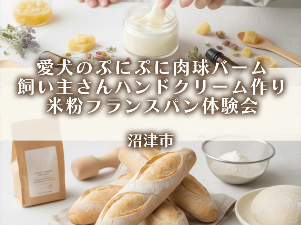 愛犬のぷにぷに肉球バーム・飼い主さんハンドクリーム作り・米粉フランスパン体験会・沼津市