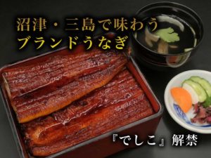 沼津・三島で味わうブランドうなぎ・でしこ解禁