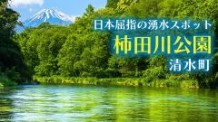 日本屈指の湧水スポット・柿田川公園・清水町