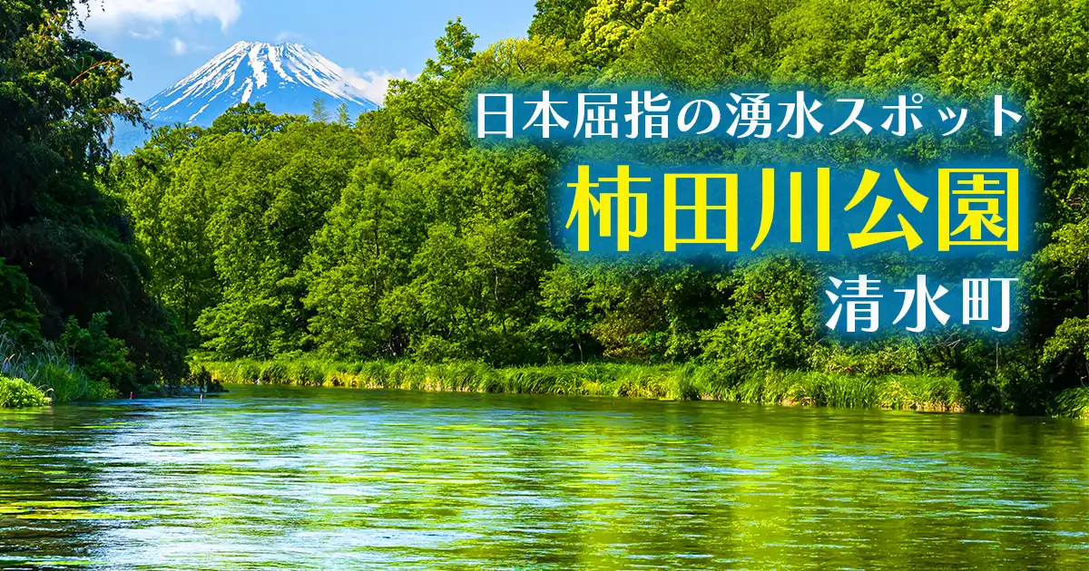 日本屈指の湧水スポット・柿田川公園・清水町