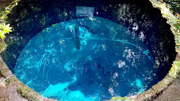 柿田川公園・青い湧き間