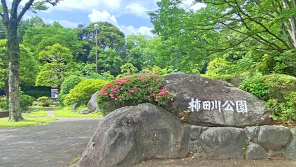 柿田川公園入口