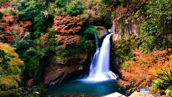 河津七滝・大滝
